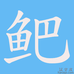 《鲃》的笔顺动画写字动画演示