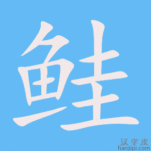 《鲑》的笔顺动画写字动画演示