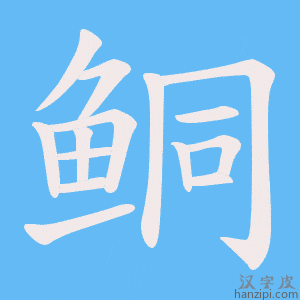《鲖》的笔顺动画写字动画演示