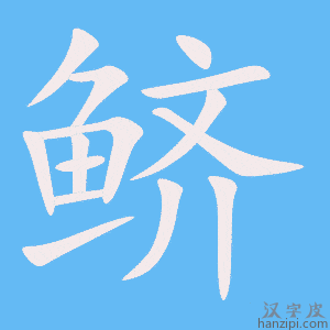 《鲚》的笔顺动画写字动画演示