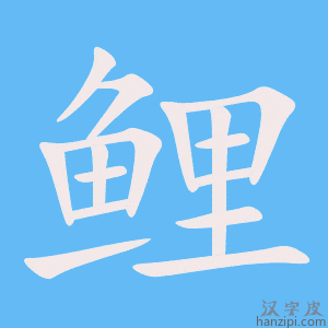 《鲤》的笔顺动画写字动画演示