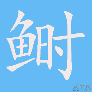 《鲥》的笔顺动画写字动画演示