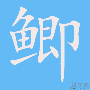 《鲫》的笔顺动画写字动画演示