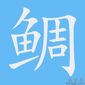 《鲷》的笔顺动画写字动画演示