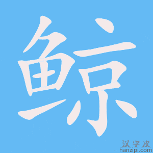 《鲸》的笔顺动画写字动画演示