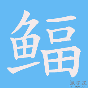 《鲾》的笔顺动画写字动画演示