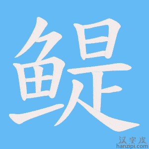 《鳀》的笔顺动画写字动画演示