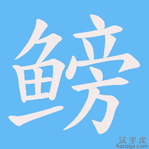 《鳑》的笔顺动画写字动画演示