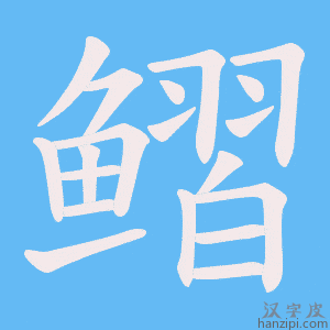 《鳛》的笔顺动画写字动画演示