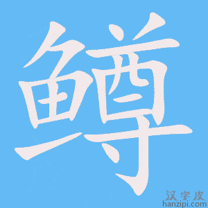 《鳟》的笔顺动画写字动画演示