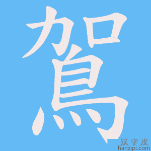 《鴐》的笔顺动画写字动画演示