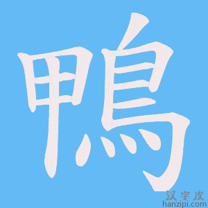 《鴨》的笔顺动画写字动画演示