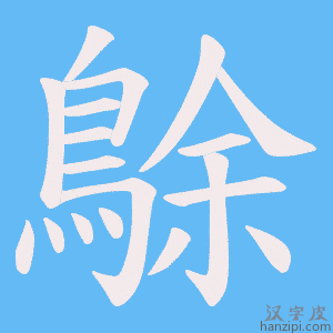 《鵌》的笔顺动画写字动画演示