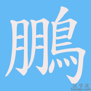 《鵬》的笔顺动画写字动画演示