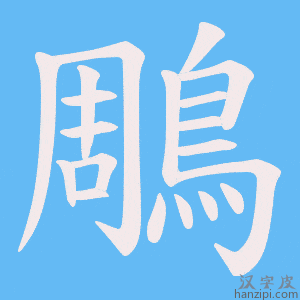 《鵰》的笔顺动画写字动画演示