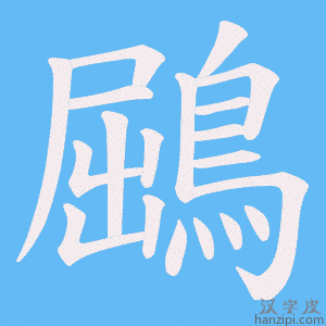 《鶌》的笔顺动画写字动画演示