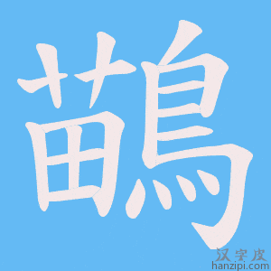 《鶓》的笔顺动画写字动画演示