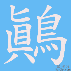 《鷆》的笔顺动画写字动画演示