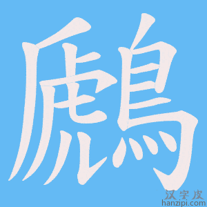 《鷉》的笔顺动画写字动画演示