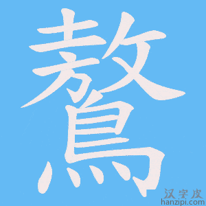 《鷔》的笔顺动画写字动画演示
