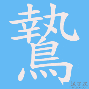 《鷙》的笔顺动画写字动画演示