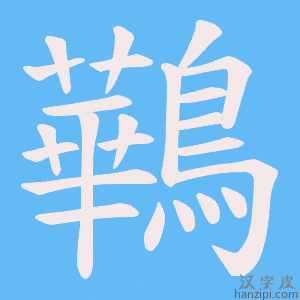 《鷨》的笔顺动画写字动画演示