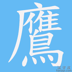 《鷹》的笔顺动画写字动画演示