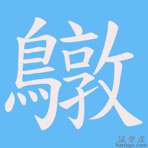 《鷻》的笔顺动画写字动画演示