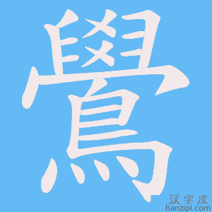 《鷽》的笔顺动画写字动画演示