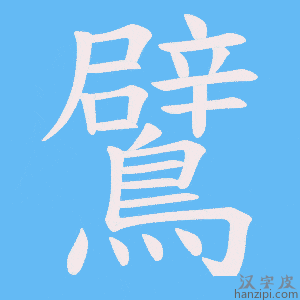 《鷿》的笔顺动画写字动画演示