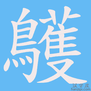 《鸌》的笔顺动画写字动画演示