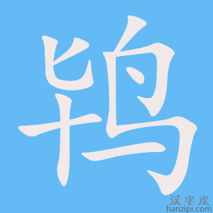 《鸨》的笔顺动画写字动画演示