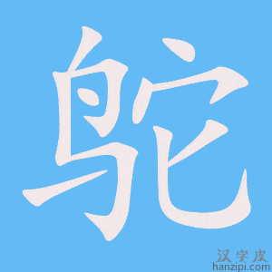 《鸵》的笔顺动画写字动画演示