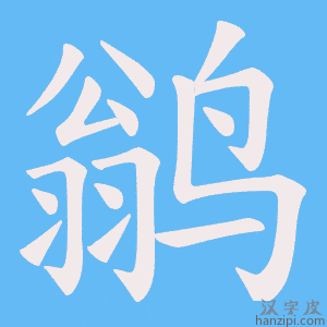 《鹟》的笔顺动画写字动画演示