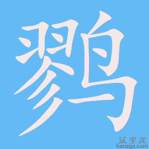 《鹨》的笔顺动画写字动画演示