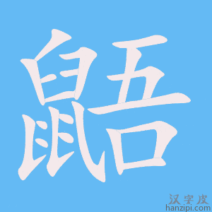 《鼯》的笔顺动画写字动画演示
