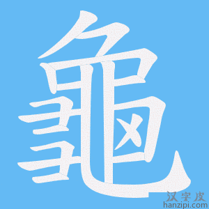 《龜》的笔顺动画写字动画演示