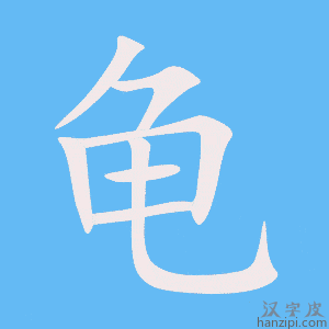 《龟》的笔顺动画写字动画演示