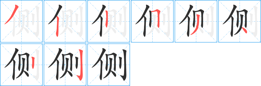 《侧》的笔顺分步演示（一笔一画写字）