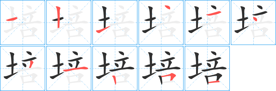 《培》的笔顺分步演示（一笔一画写字）
