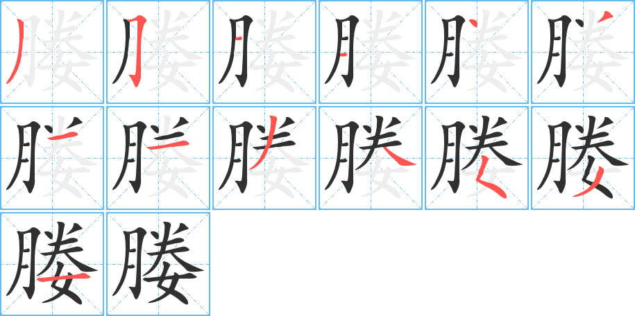 《媵》的笔顺分步演示（一笔一画写字）