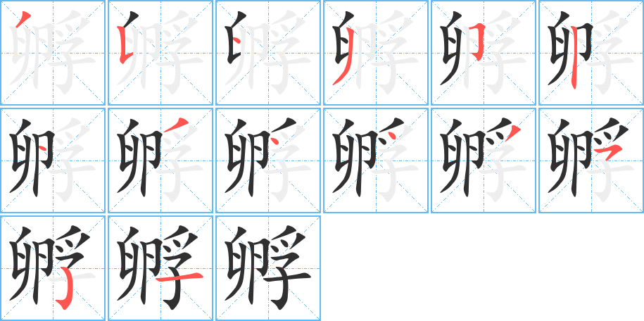 《孵》的笔顺分步演示（一笔一画写字）