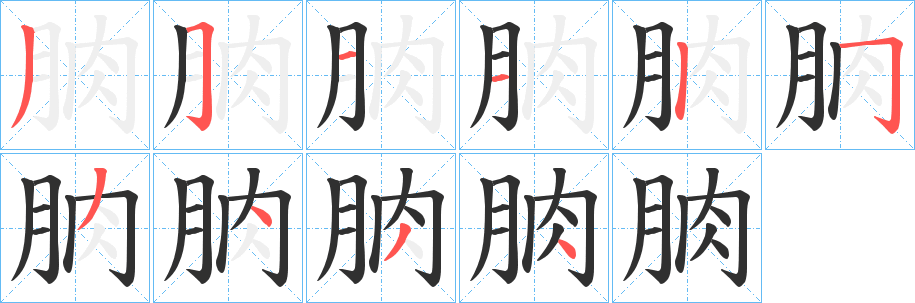 《朒》的笔顺分步演示（一笔一画写字）