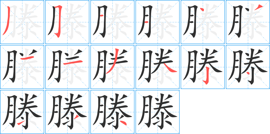 《滕》的笔顺分步演示（一笔一画写字）