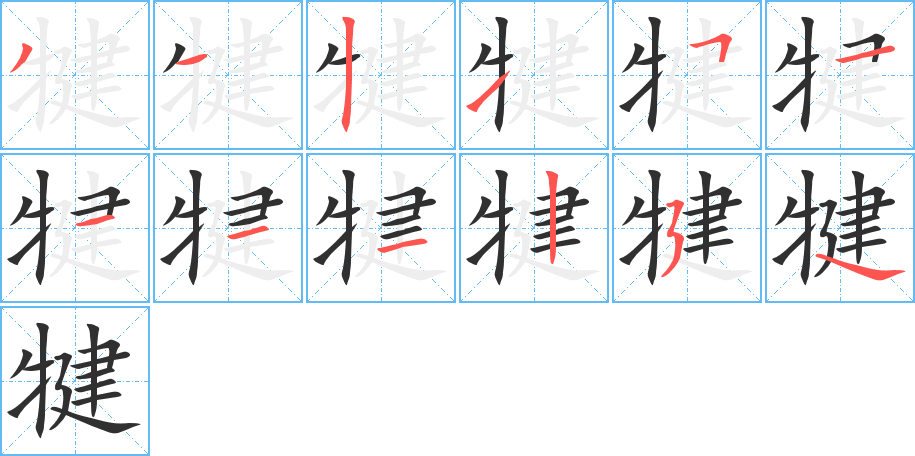《犍》的笔顺分步演示（一笔一画写字）