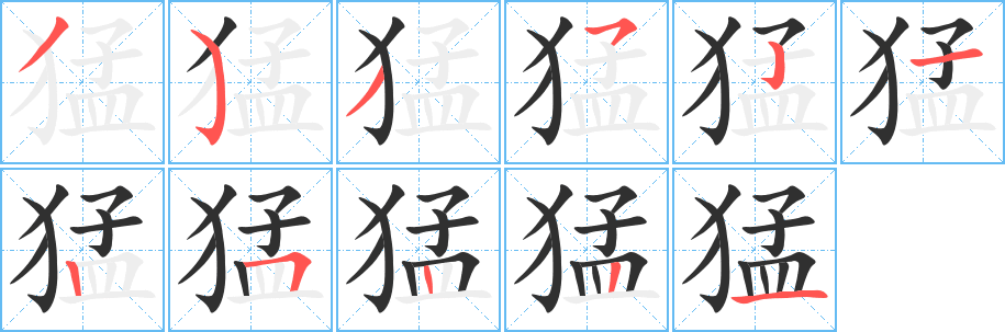 《猛》的笔顺分步演示（一笔一画写字）