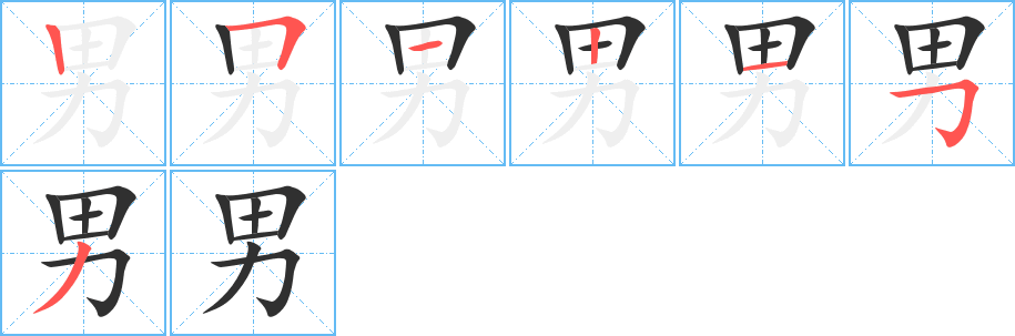 《男》的笔顺分步演示（一笔一画写字）