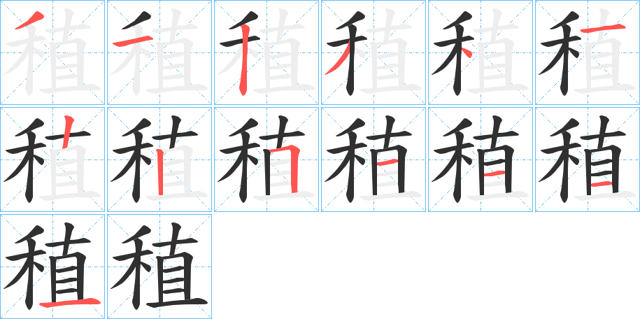 《稙》的笔顺分步演示（一笔一画写字）