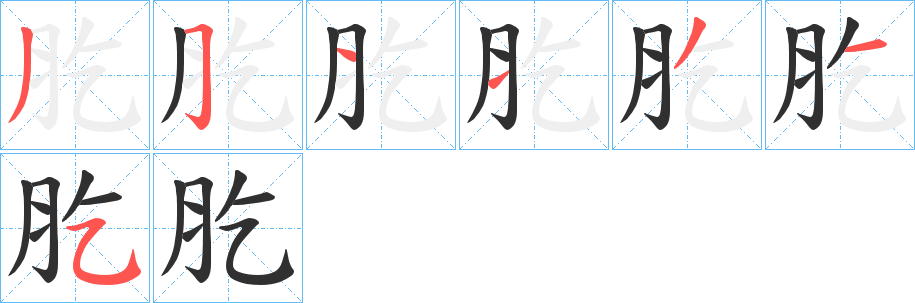 《肐》的笔顺分步演示（一笔一画写字）