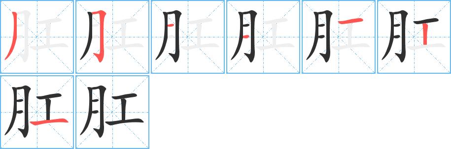 《肛》的笔顺分步演示（一笔一画写字）